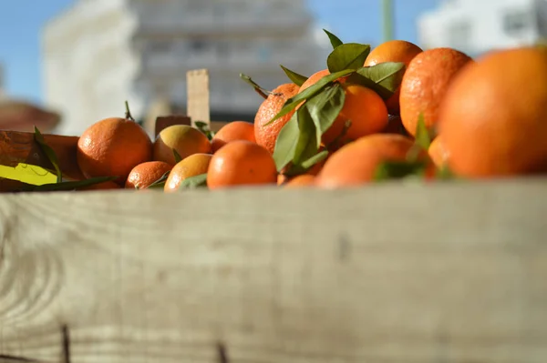 Färska Apelsiner Mataffären Snabbköpet Fruktsäsong Vitaminer Och Hälsa — Stockfoto