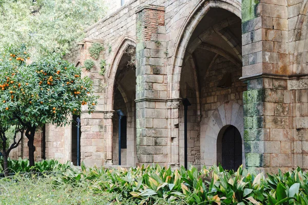 İspanya, Barselona 'da portakal ağaçları olan geleneksel kale avlusu