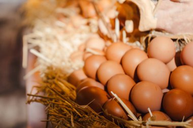 Markette taze tavuk yumurtası.