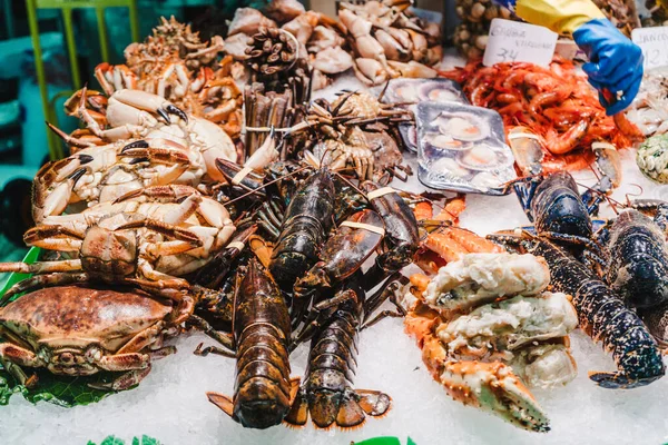 Balık pazarındaki buz tezgahında taze deniz ürünleri.