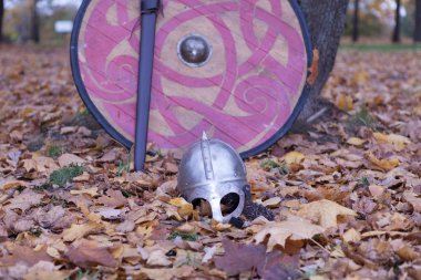 Viking's kask