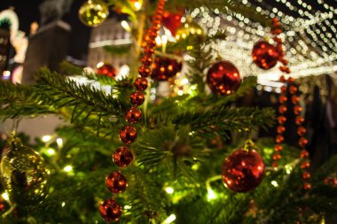 Yeni yıl köknar ağacı