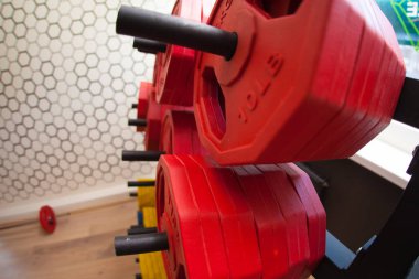 fitness spor ekipmanları 