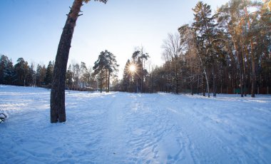 Kış güneşli hava