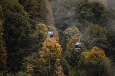 Sisli kış manzara Panoraması