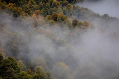 Sisli kış manzara Panoraması