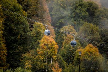 Sisli kış manzara Panoraması