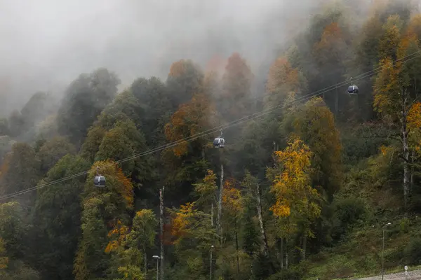 Panorama of the foggy winter landscape — Stock Photo, Image