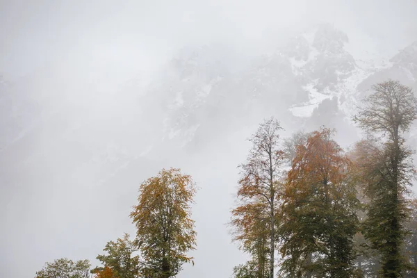 Panorama du paysage hivernal brumeux — Photo