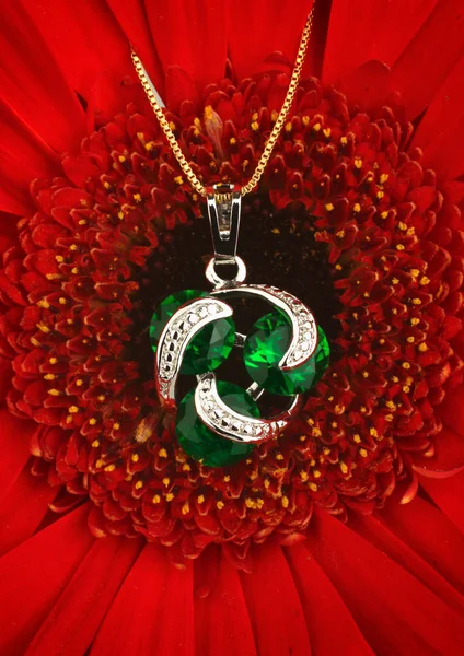 Colgante de joyería de plata con gemas y esmeralda en backgro de flores — Foto de Stock