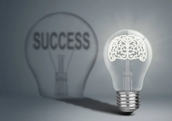 Lampadina con brian e ombra con successo, idea concept — Foto Stock