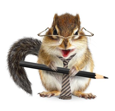 Funny animal businessman, chipmunk with tie and pencil  clipart
