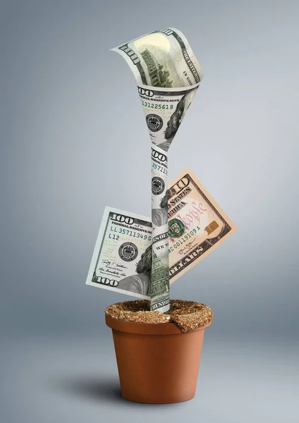 Växande rikedom kreativa koncept, pengar som blomma i kruka — Stockfoto
