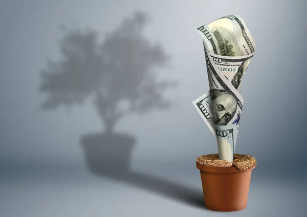 Financiën groei creatief concept, geld als boom in pot — Stockfoto
