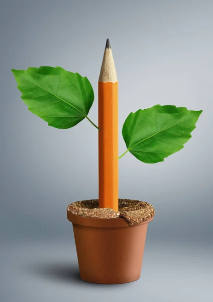 Idée concept créatif, crayon avec des feuilles poussent à partir de pot — Photo