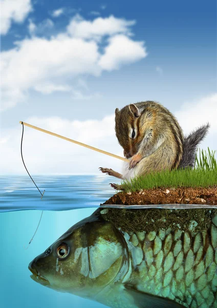 Unpredictable result concept, surreal chipmunk fishing on fish — Stock Photo, Image