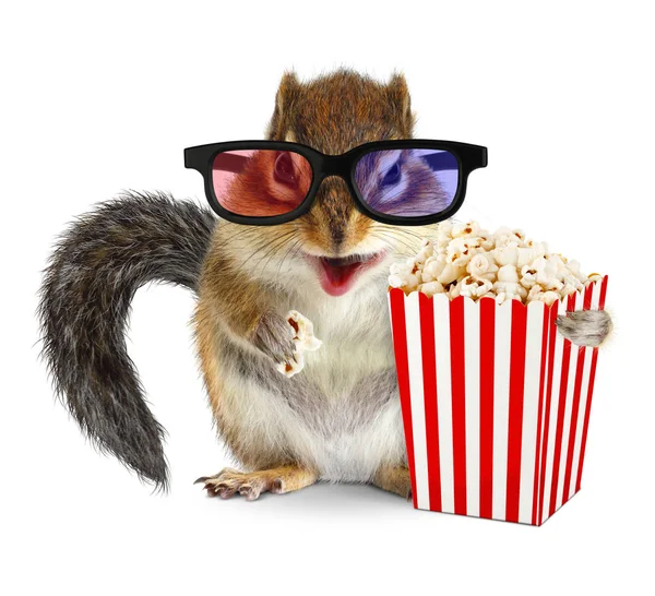 Funny animal chipmunk watching movie with popcorn — Stock Photo, Image