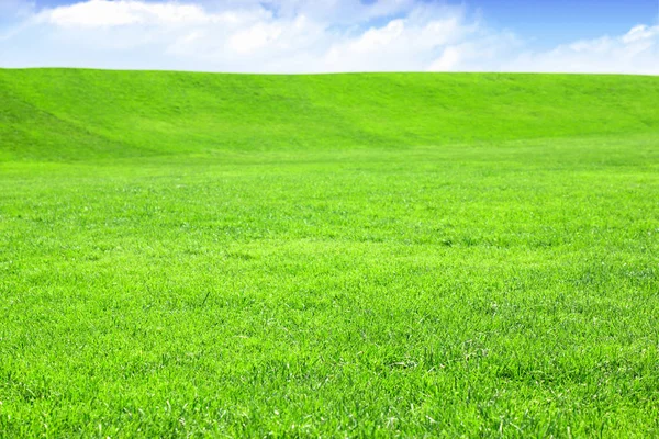 Campo de grama vazio com céu azul — Fotografia de Stock