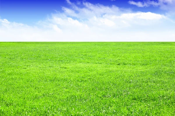 Campo de grama vazio com céu azul como fundo — Fotografia de Stock