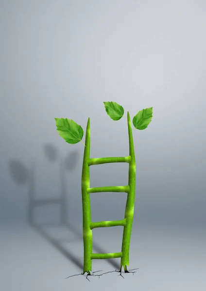 successful growth creative business concept, plant as ladder