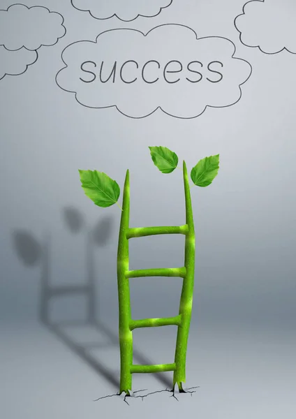 Stairs to success creative concept, plant growth as ladder — 스톡 사진