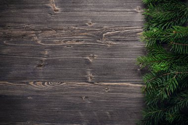 ahşap zemin çam dalları