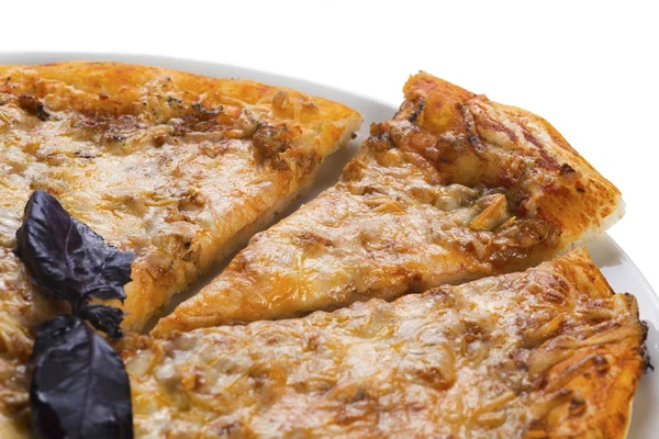 Välsmakande pizza med kött — Stockfoto
