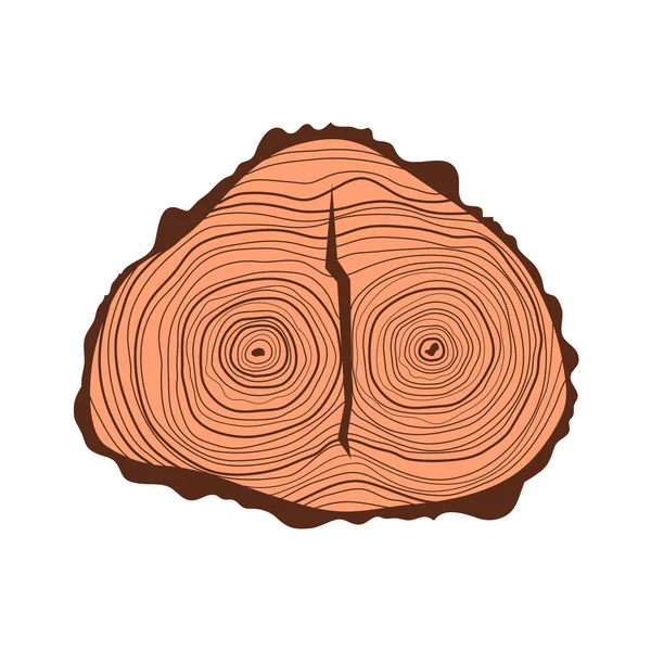 Albero fette di legno vettore . — Vettoriale Stock