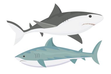 Vektör köpekbalığı karakter.