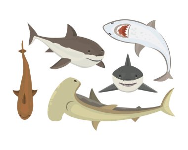 Vektör köpekbalığı karakter.