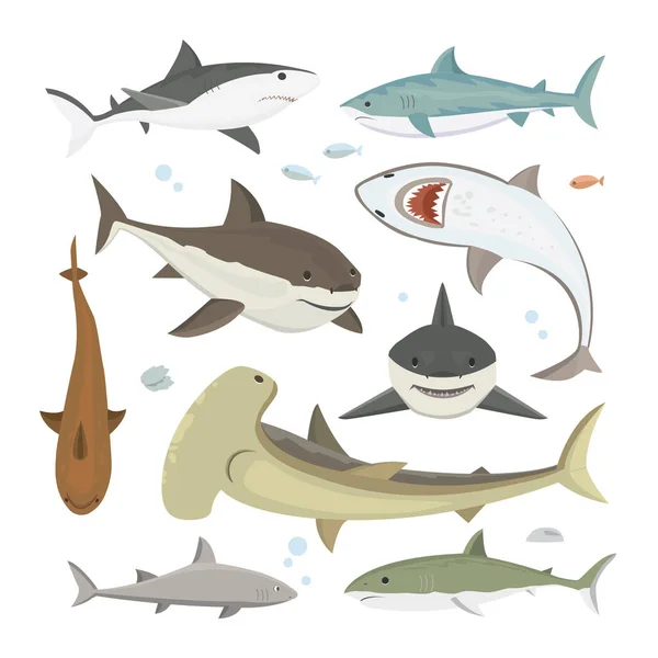 Conjunto de pose diferente de tubarão vetor . — Vetor de Stock