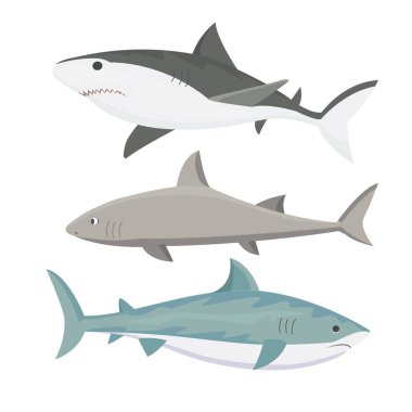 Vektör köpekbalığı karakter.