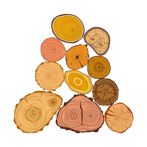 Ağaç ahşap dilimlerin set vektör