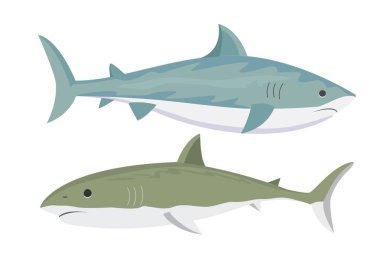 Vektör köpekbalığı karakter.