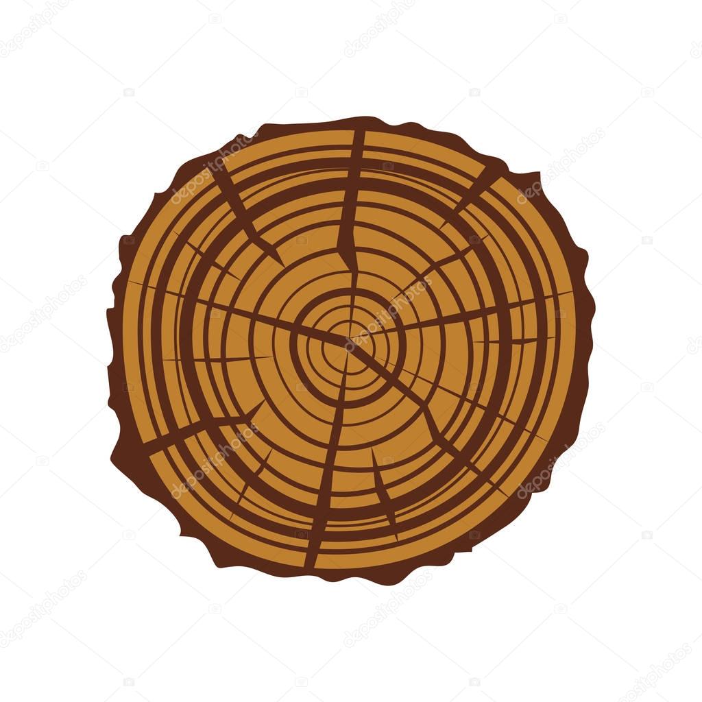 Tree wood slices vector.