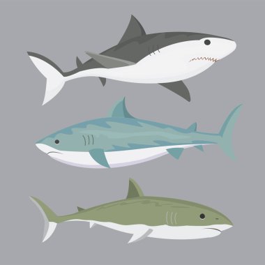 Vektör köpekbalığı karakter.