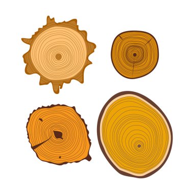 Ağaç ahşap dilimlerin set vektör