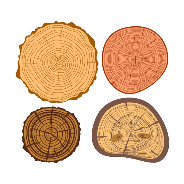 Conjunto de vetores de fatias de madeira de árvore —  Vetores de Stock