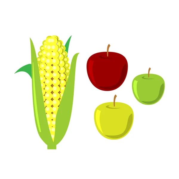 Mazorcas de maíz sobre fondo blanco. Conjunto de vectores . — Archivo Imágenes Vectoriales