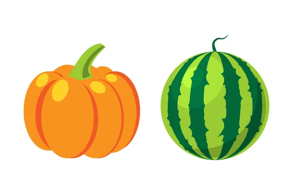 Ilustração do vetor isolado de abóbora laranja fresca e melancia . — Vetor de Stock