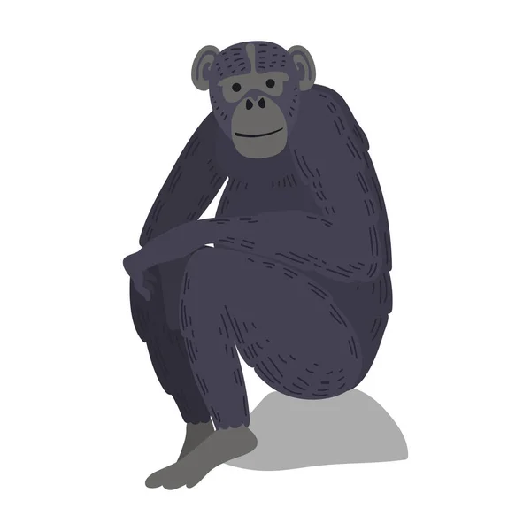 Macaque singe animal rare vecteur . — Image vectorielle