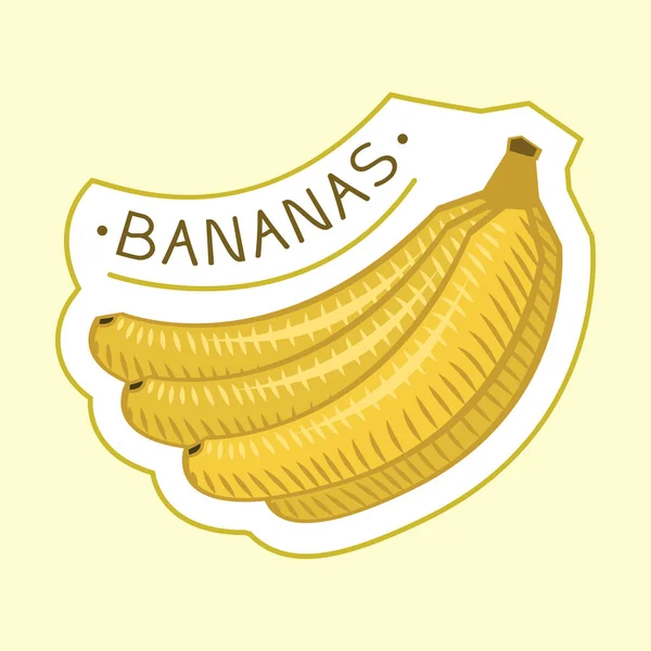 Bunch of tropical bananas badge vector illustration. - Stok Vektor