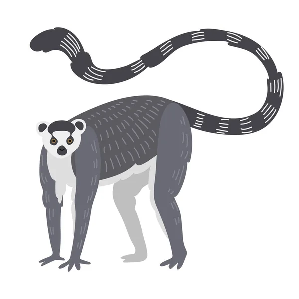 Lemur mono raro animal vector . — Archivo Imágenes Vectoriales