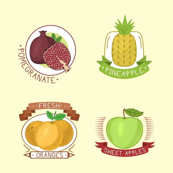 Placas de frutas vectoriales . — Vector de stock
