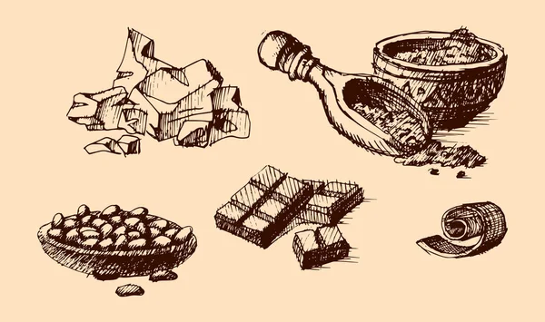 Croquis vectoriel en cacao dessiné à la main illustration . — Image vectorielle