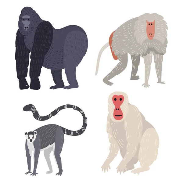 Verschiedene Arten von Affen seltene Tier Vektor-Set. — Stockvektor