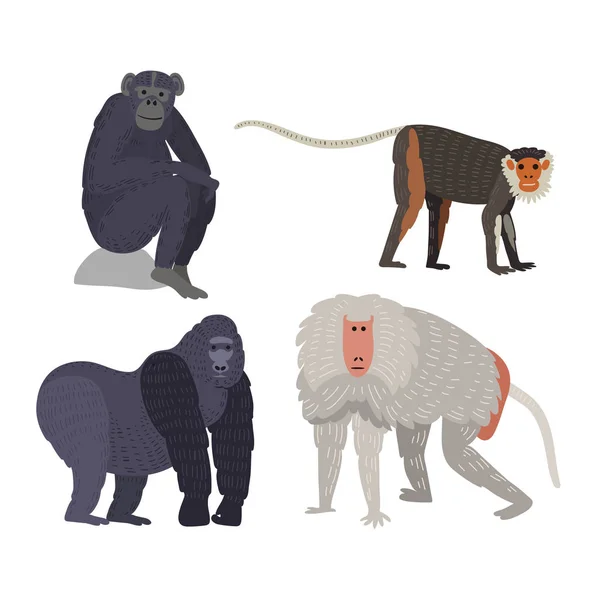 不同类型的猴子稀有动物矢量集. — 图库矢量图片