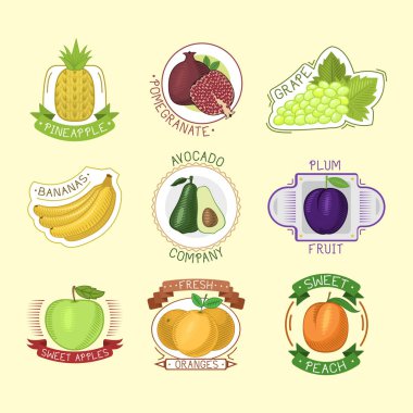 Vektör meyve rozetleri.