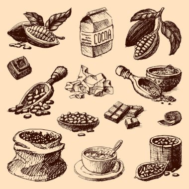 Vector cocoa hand drawn sketch illustration. clipart