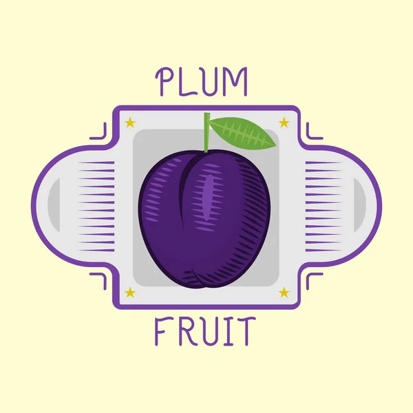 Fresh juicy red violet plum fruit badge vector illustration. — Stock Vector